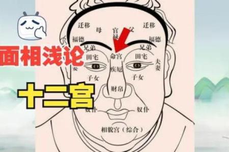 探秘戊寅命理：理解土与虎的完美结合