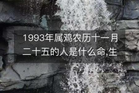 菩萨智慧与命盘解析：揭示生命的深层意义与指引