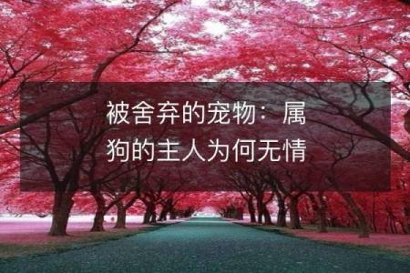 1994年狗年：探索它的命理魅力与人生启示