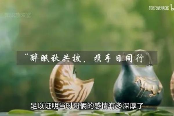 一生漂泊的命运：十年磨一剑的心路历程