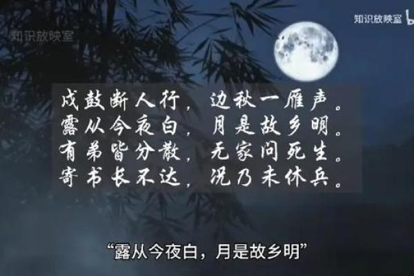一生漂泊的命运：十年磨一剑的心路历程