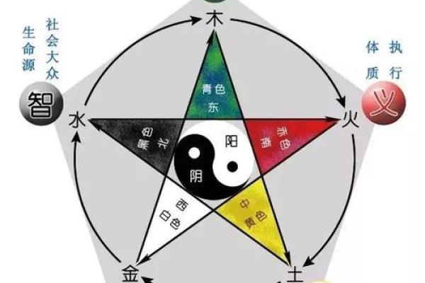 探索命理优势学科的奥秘与魅力