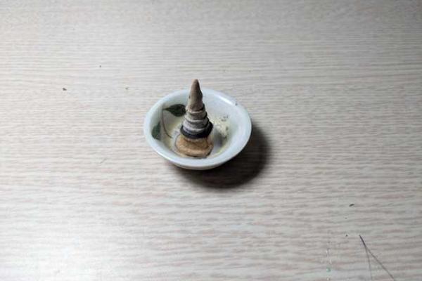 破童子命法事揭秘：科学与信仰的交汇点