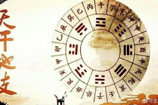 女命坐正官：智慧与责任的完美结合