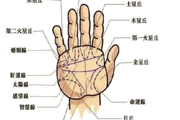 双手断掌男人命运解析：你知道他们的未来吗？