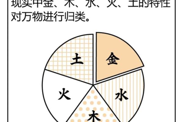 揭秘五行与命理：探索生命的奥秘与和谐之道
