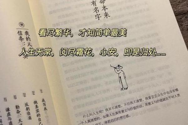 65岁人的命运与生活哲学：从智慧到宁静的旅程