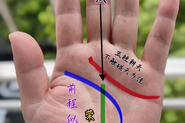 女子手纹解析：掌握命运的秘密与幸福的关键