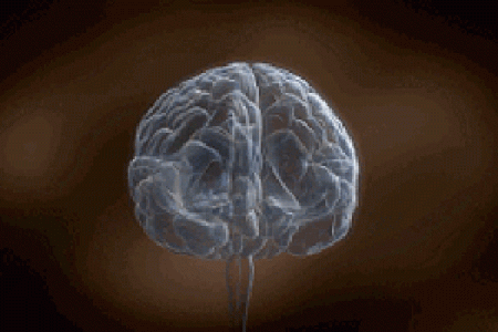 探寻“谋命”的深层意义与现实运用：一场关于生命与选择的思考