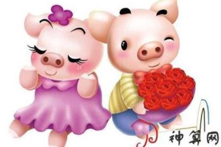 解读51岁属猪以后的命运：运势发展与生活指南