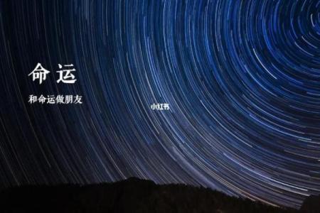 三十七属猪的命运与人生解析：如何掌控命运，成就辉煌人生