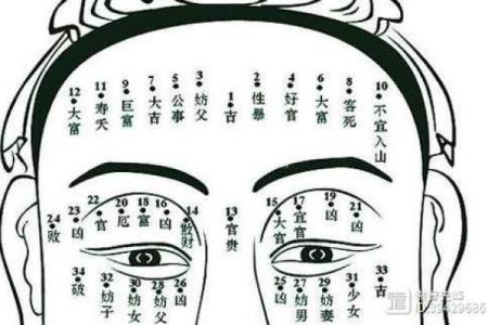 从面相解析富贵命男性的独特特征与命运轨迹