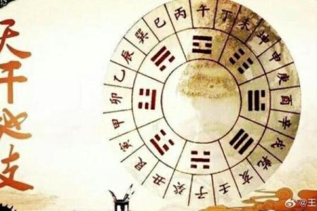 女命坐正官：智慧与责任的完美结合