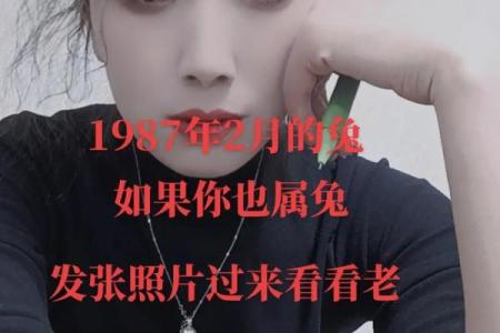 1987年属兔，命中注定的浪漫与聪慧之旅