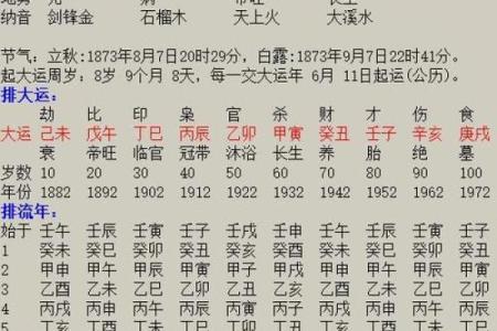 命理解析：为何某些人天生适合当大官，你是否是其中之一？