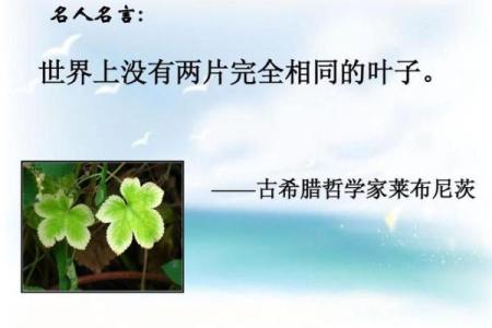 探索“命”的意义：生命的哲学与我们的存在