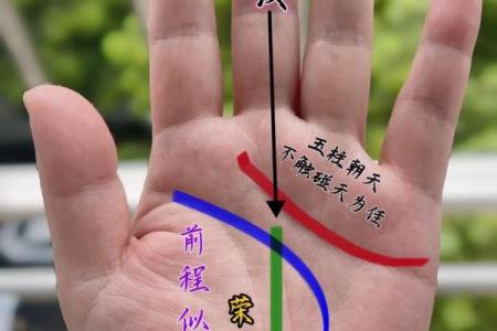 女子手纹解析：掌握命运的秘密与幸福的关键