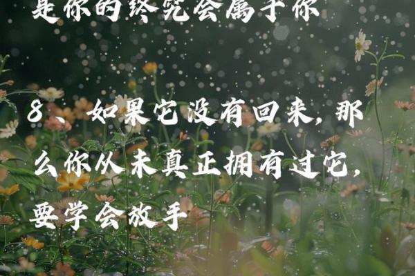 命无什么莫强求，人生处境的智慧与哲学思考