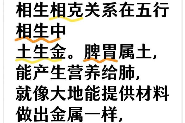 探寻命理之奥秘：你的命五行究竟如何影响人生？