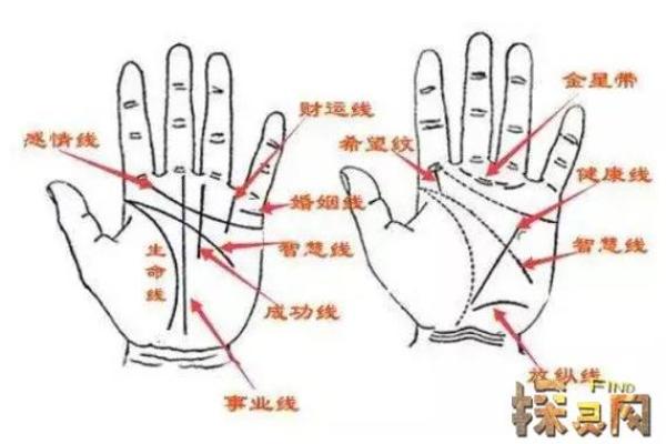 女人脚长不好命，揭示奇妙秘密与命运的联系