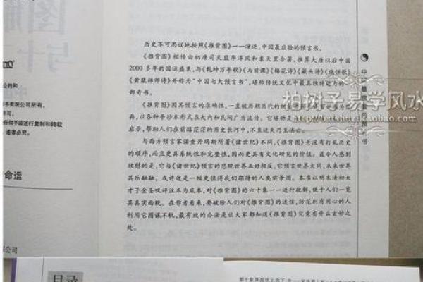 1994年出生者的命理分析与人生运势探讨