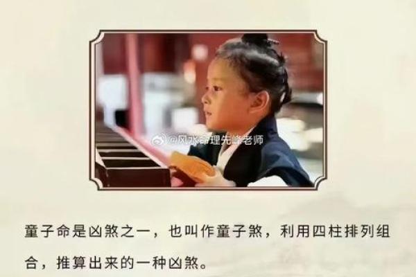 探寻石榴木命的命理智慧：适合的职业地位与生活哲学