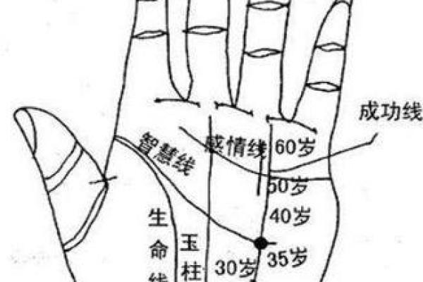 女人手相解析：揭示你命运的神秘密码！