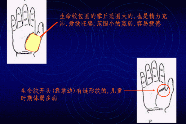 女人手相解析：揭示你命运的神秘密码！