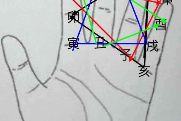 手指比手掌短的命运暗示：解锁你的命理之谜