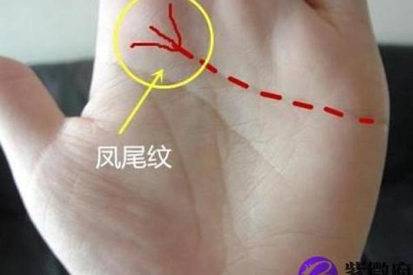 揭秘富贵命：根据属相看你的财富与命运之路！