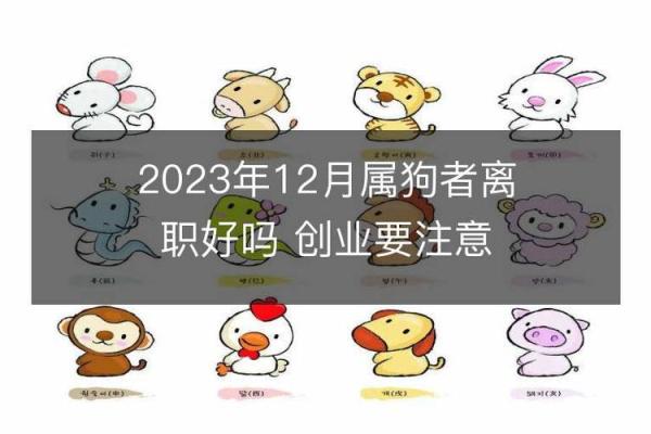 解密1983年腊月26日出生者的命运与性格特征