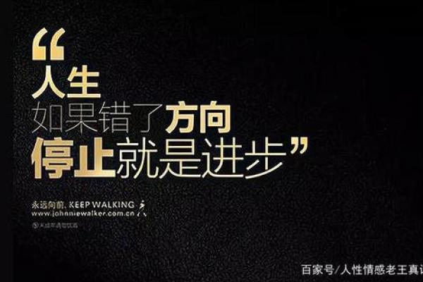 2008年——命运的交响曲与人生的多元属性