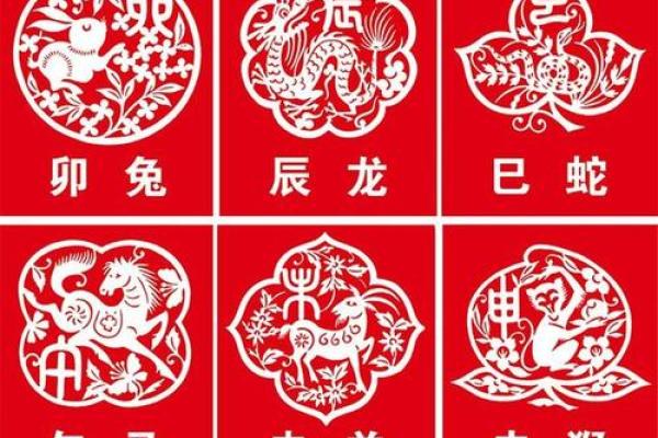 七十年命理解析：属相与命缺的深度剖析