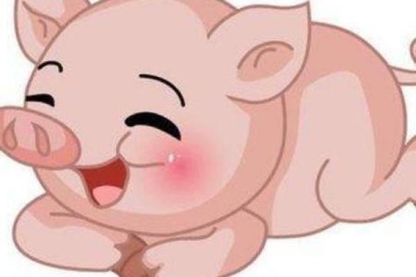 属猪卯时出生者的命运解析：探索其性格与人生轨迹
