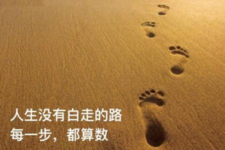 午时出生的人命运解析：解锁人生的秘密与机遇