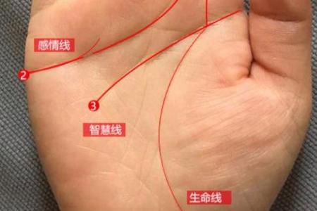 23号出生的命运解析：探索独特个性与人生轨迹