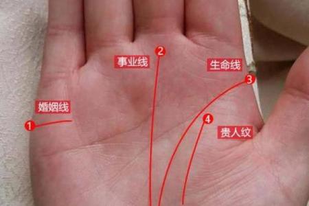 揭秘男人手纹：好运与命运的秘密武器！