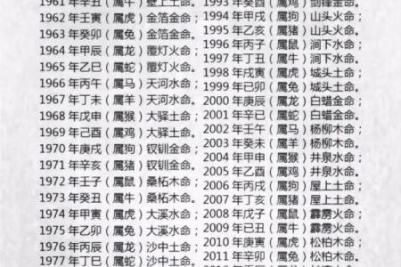 金命冬天出生的命格解析：犯什么与运势的关系探秘