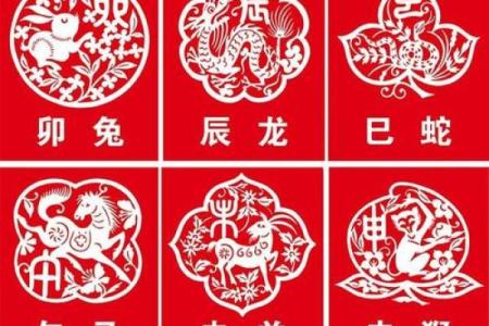 七十年命理解析：属相与命缺的深度剖析