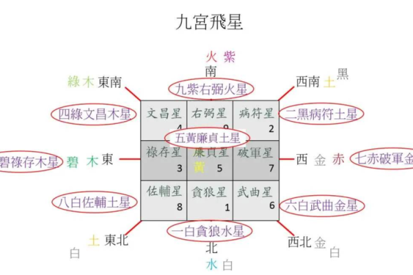 98年虎子是什么命：探索命理与性格的奥秘