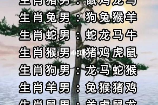 根据命理，最适合你的生肖配对分析