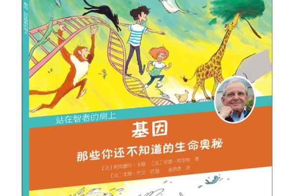 探索一命换一命的奥秘与可能性：生命的交织与哲学思考