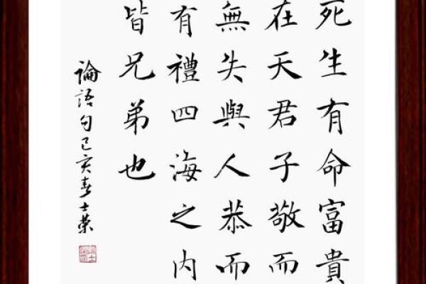 探寻命曰天放的深意与人生启示