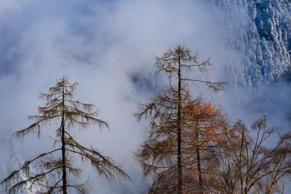 秋冬交替,11月的命运与机遇的奥秘探寻 秋冬交替,11月的命运与机遇的奥秘探寻