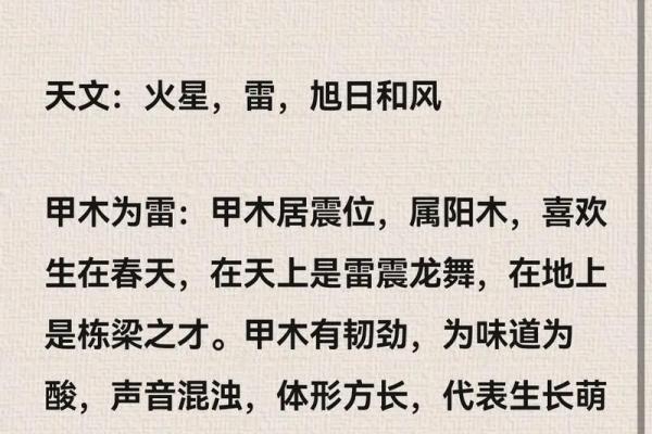 甲木命运：寻求生命的最优解与命理智慧