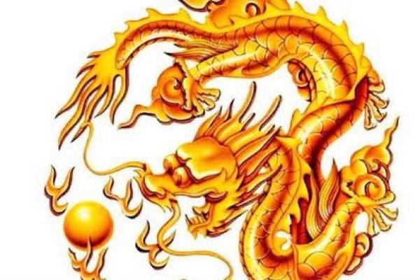 64属龙的命运解析：龙的力量与智慧之旅