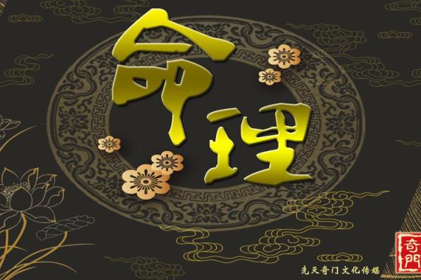 探寻命理奥秘：希儿一命与二命的实用价值