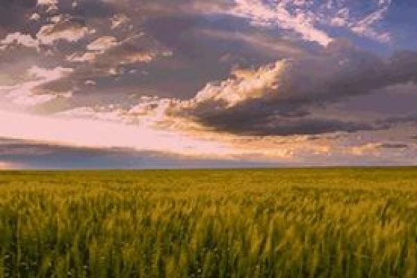 探寻未知:与自然同行的心灵之旅 探寻未知:与自然同行的心灵之旅