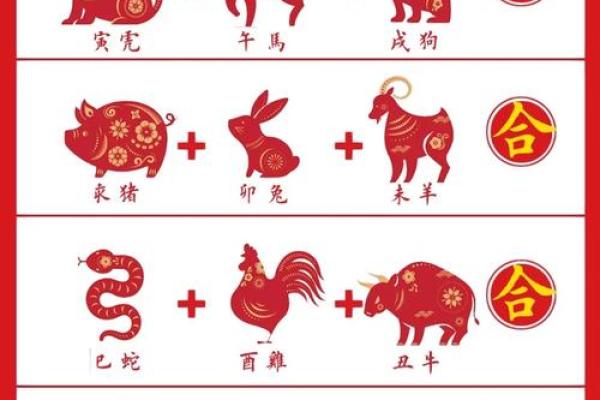 1996年鼠命人缺什么？揭秘命理背后的奥秘与智慧