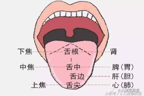 算命解读孩子命运的奥秘与智慧